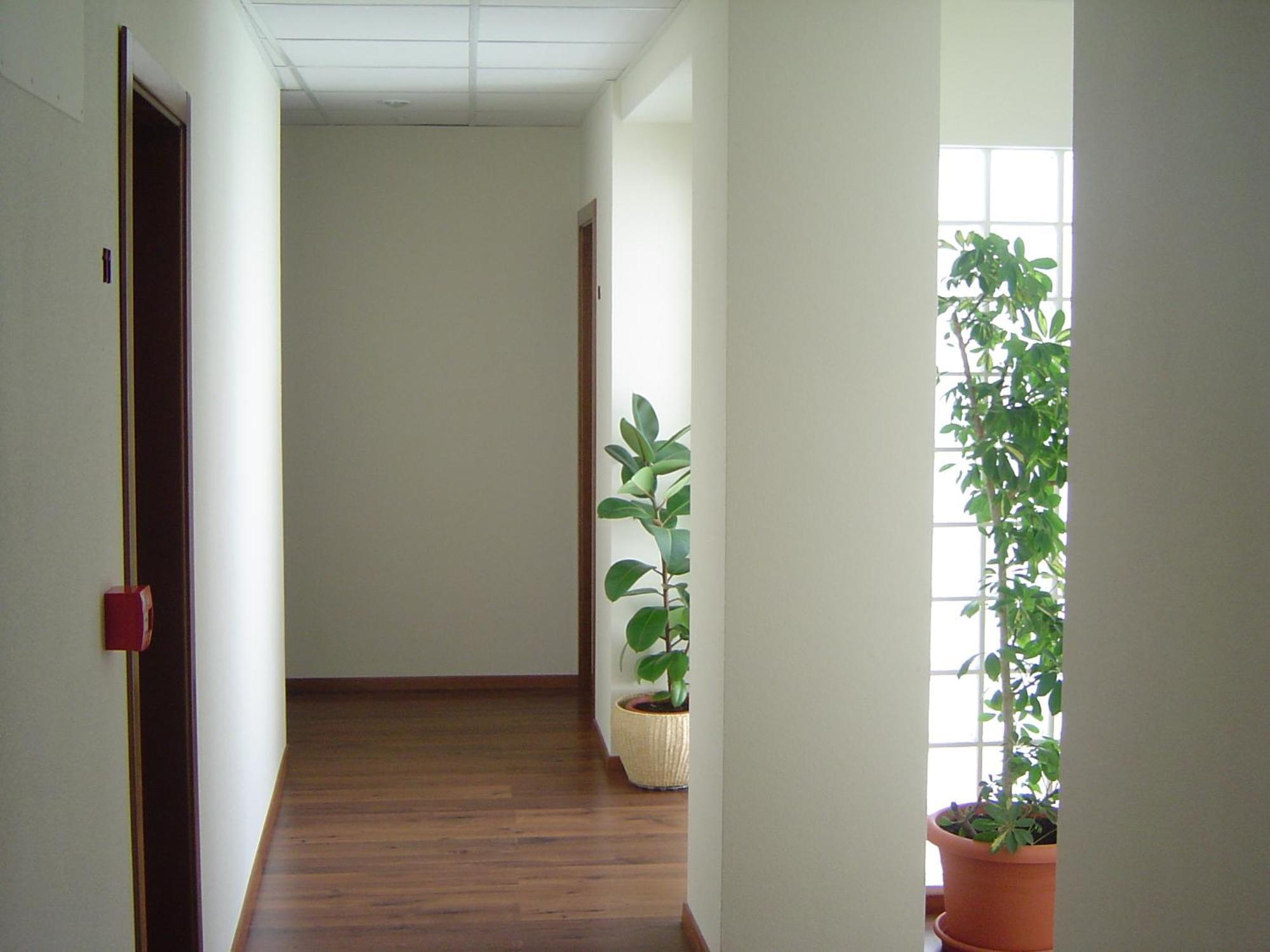 Hostal El Estudio อันมานซา ภายนอก รูปภาพ