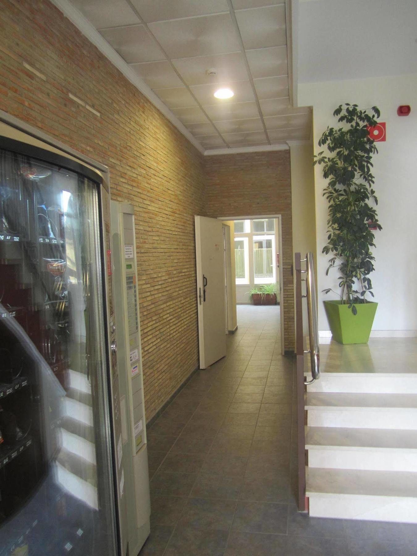 Hostal El Estudio อันมานซา ภายนอก รูปภาพ